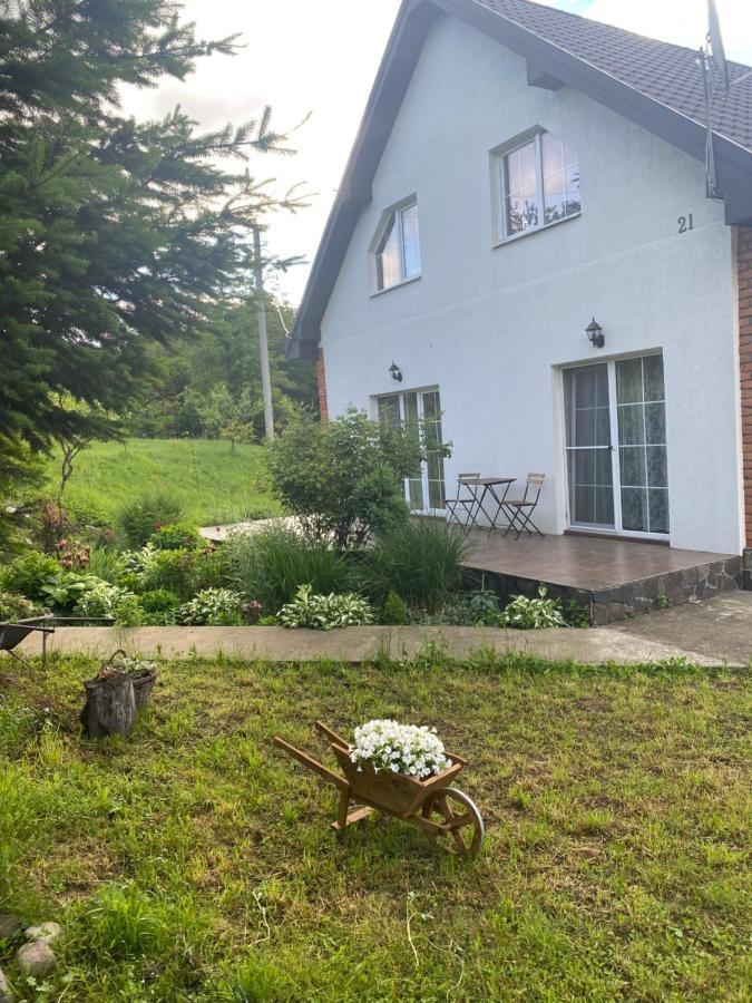Holiday Home Usadba Novoselitsa 外观 照片