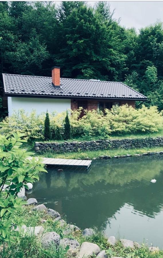 Holiday Home Usadba Novoselitsa 外观 照片