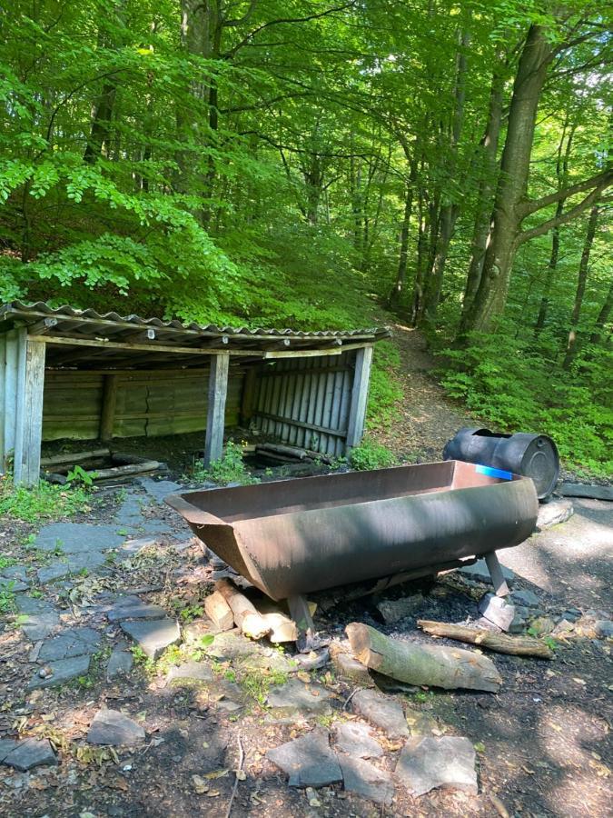 Holiday Home Usadba Novoselitsa 外观 照片