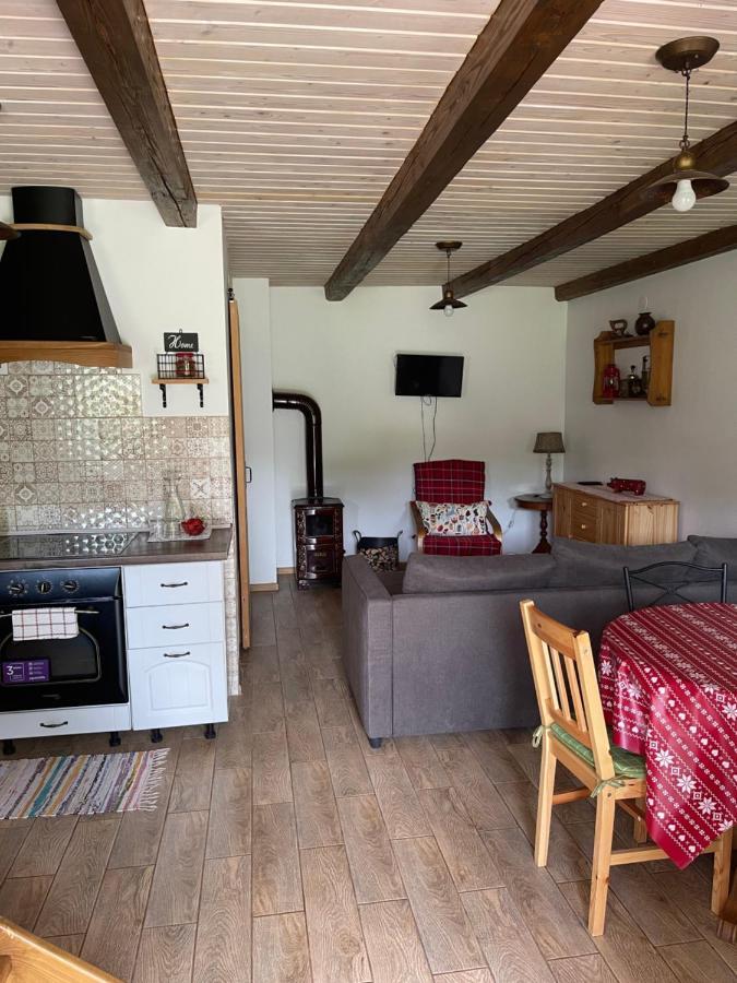 Holiday Home Usadba Novoselitsa 外观 照片