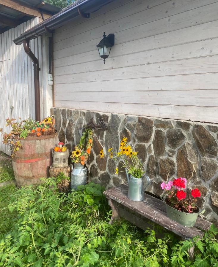 Holiday Home Usadba Novoselitsa 外观 照片