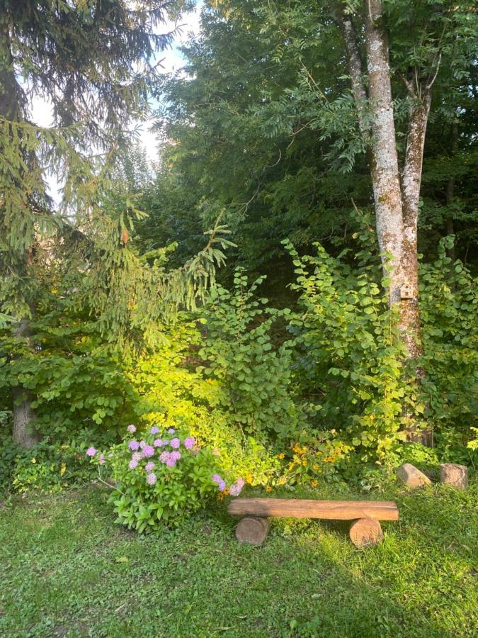 Holiday Home Usadba Novoselitsa 外观 照片