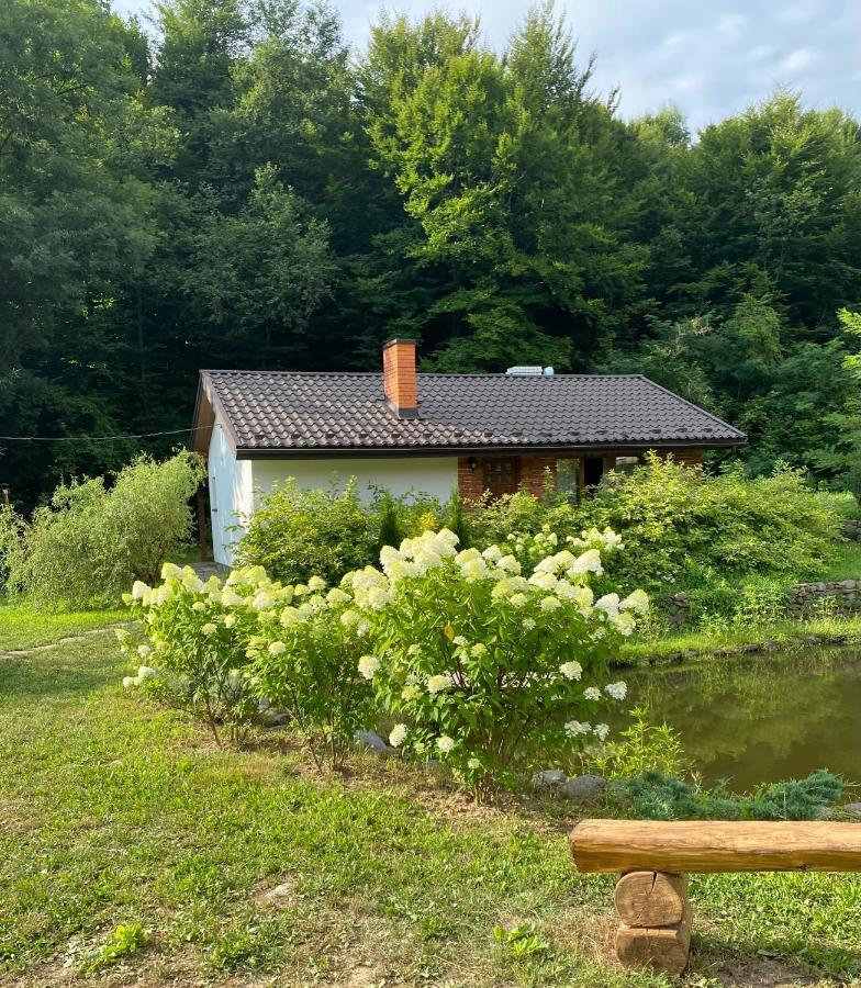 Holiday Home Usadba Novoselitsa 外观 照片
