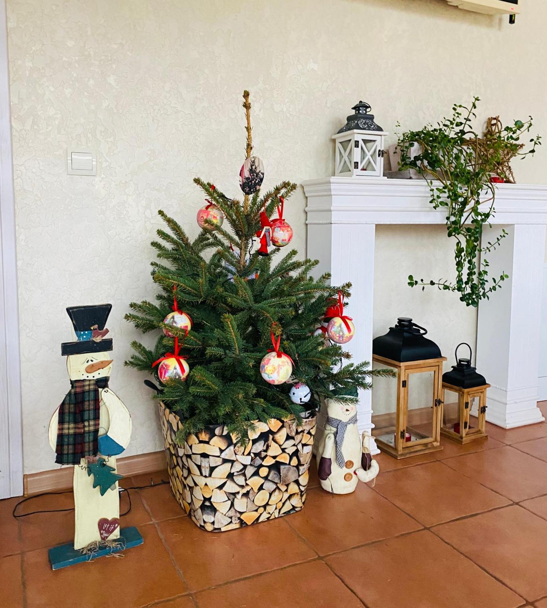 Holiday Home Usadba Novoselitsa 外观 照片