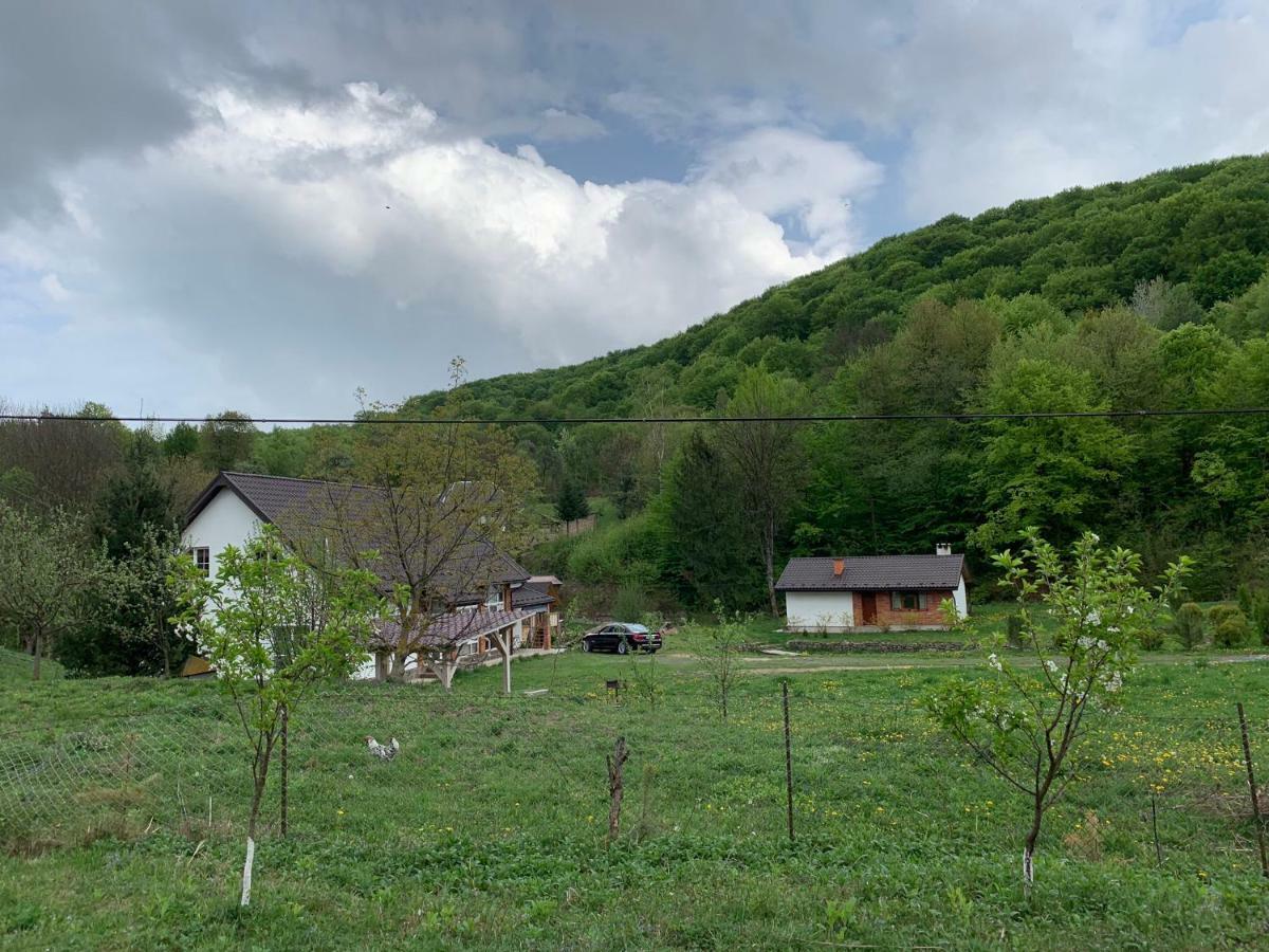 Holiday Home Usadba Novoselitsa 外观 照片