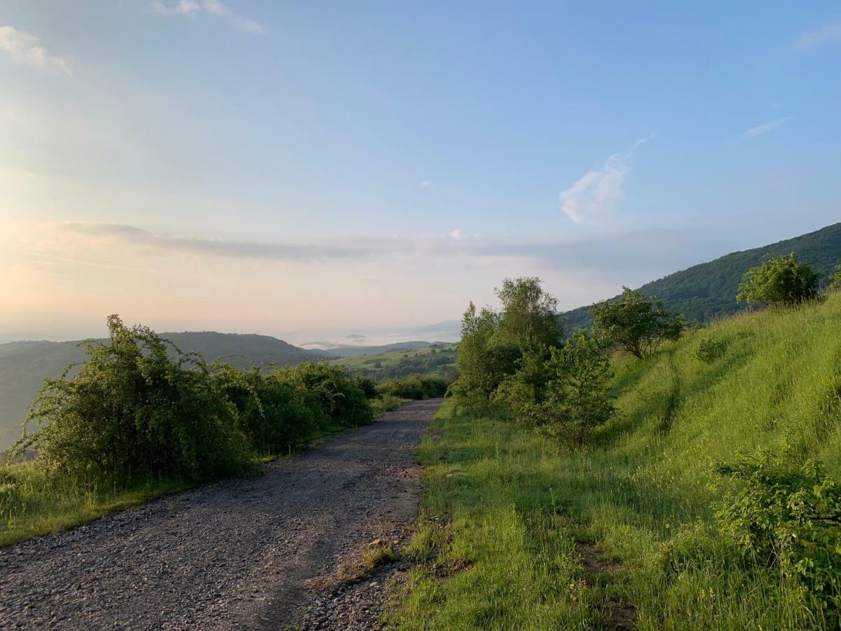 Holiday Home Usadba Novoselitsa 外观 照片